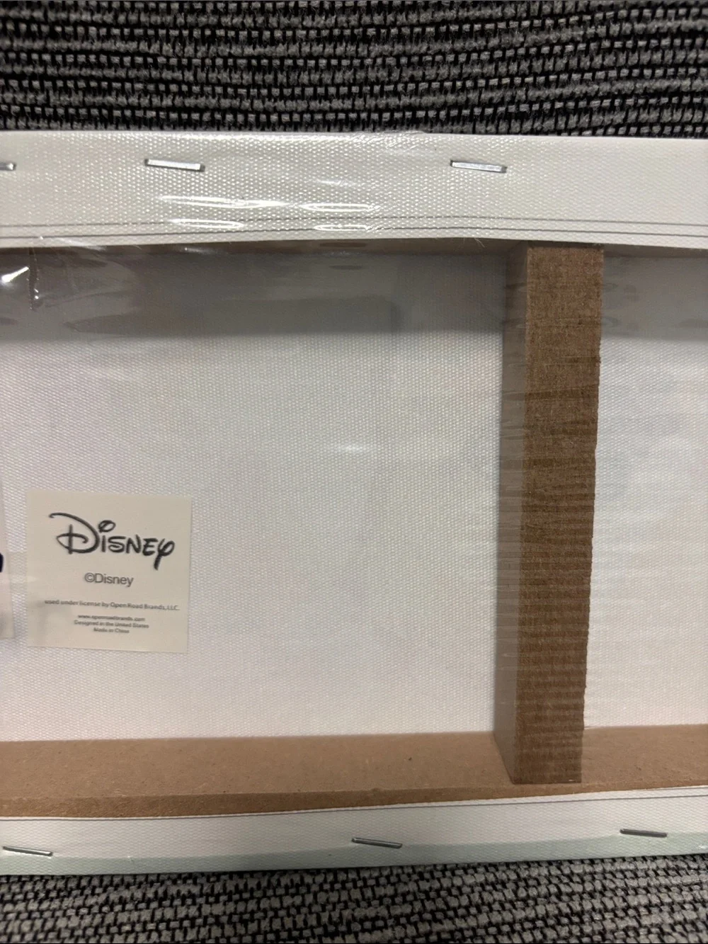Disney Princess Canvas Panel - Pink, Yellow, Blue, Green